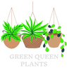 Green Queen Plants - Home