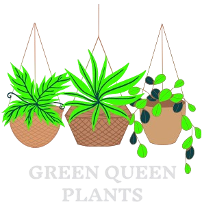Green Queen Plants
